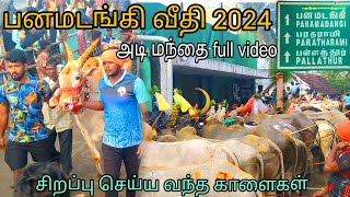 பனமடங்கி எருதுகட்டு 2024 சிறப்பை செய்ய வந்த காளைகள் 💥அடி மந்தை 📸𝗙𝘂𝗹𝗹 𝘃𝗶𝗱𝗲𝗼 📸 trending viralshorts [upl. by Law]