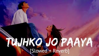 Tujhko jo paaya Slowed  Reverb Nikhil Dsouza  Bollywood hindi lofi song [upl. by Concha]