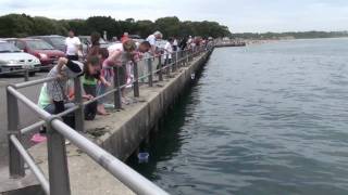 Mudeford Quay [upl. by Repotsirhc496]