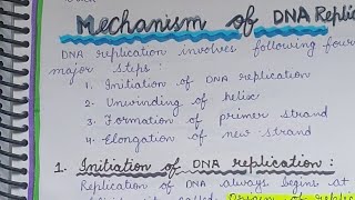 Steps of DNA Replication class 12 Mechanism of dna replication  process of dna replication notes [upl. by Figueroa]