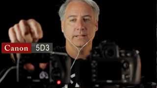 Nikon D800 vs Canon 5D Mark III Which Has The Quietest Preamp [upl. by Gadmann]