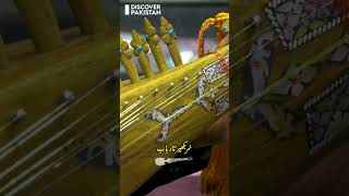 Rubab strumming musical instrument rubab musicalinstrument music [upl. by Blynn]