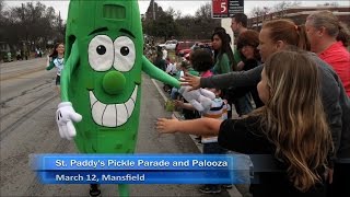 Festival of the Week St Paddy’s Pickle Parade and Palooza [upl. by Martainn]