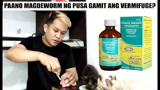 PAANO MAG DEWORM NG PUSA GAMIT ANG VERMIFUGE [upl. by Akenom763]