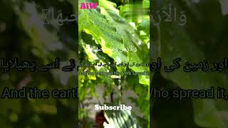 Surah AlShams  Calming and Soft Recitationquot youtubeshorts quran ayeshaislamicworld [upl. by Mahon]