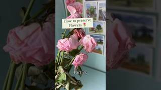 How to preserve real flowers 🌷  Drying flowers in seconds 😉 diy arthacks flowerpressing [upl. by Earahs]