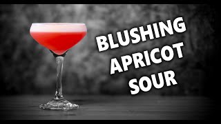 How To Make The Blushing Apricot Sour  Booze On The Rocks [upl. by Aihsinat]