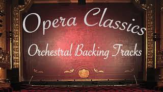 Una Furtiva Lagrima  Orchestral Backing Track  Opera Karaoke [upl. by Lavery]