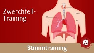 Stimmtraining  Das Zwerchfell trainieren für eine kraftvolle Stimme [upl. by Mori424]