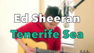 Ed Sheeran  Tenerife Sea  with Lyrics X Signature Martin Guitar [upl. by Rubenstein]