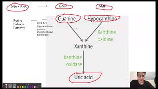 Lesch Nyhan Syndrome Mnemonic [upl. by Harriet]