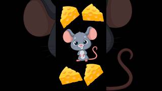 Baby Sensory Toddler Sensory CUTE MOUSE animation babydevelopment sensorydevelopment cute [upl. by Ataeb]