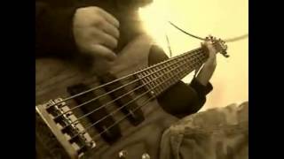 System of A Down quotDdevilquot Bass Cover [upl. by Queston123]