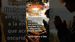 ‭Salmos 9156 [upl. by Gaves]