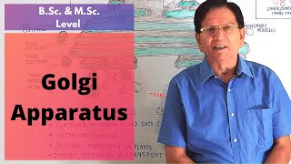 Golgi Apparatus  BSc amp MSc Level Biology [upl. by Alor]