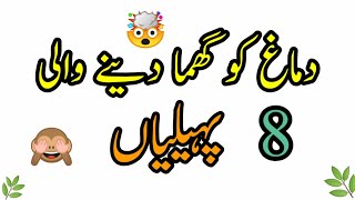 New 8 paheliyan 2021riddles Urdu an Hindistartv Urdugeneral knowledge [upl. by Lienaj]