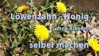 Löwenzahn Honig ohne Bienen selber machen [upl. by O'Grady]