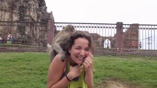 Monkey attack in Lopburi Thailand [upl. by Salome]