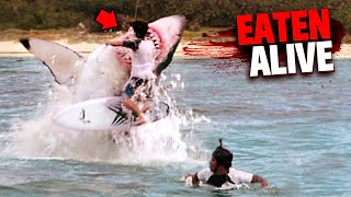 Eaten Alive By Sharks MARATHON [upl. by Haridan691]