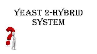 Yeast 2Hybrid System Y2H  Video Lecture by Ankita Rajput yeast proteininteraction ppi [upl. by Merralee]