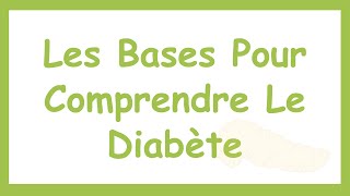 Le Métabolisme GlucidoLipidique  Les Bases Pour Comprendre le Diabète [upl. by Thin465]