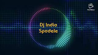 Lagu REMIX Dj India Dj Spadele Hayukk Pal Pal le pale [upl. by Gregoire]