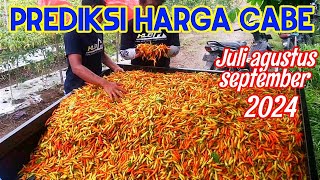 BOCORAN HARGA CABE JULI AGUSTUS SEPTEMBER 2024 PART 12 [upl. by Henden]