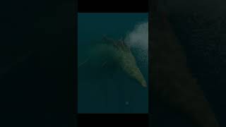 “Leviathan” Thalassophobia Animation shorts [upl. by Melak99]