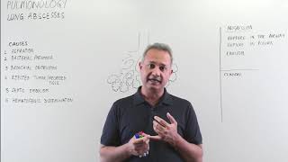 Causes of Lung Abscesses [upl. by Arahd]