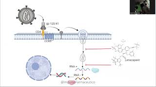 LENACAPAVIR  MECANISMO DE ACCIÓN [upl. by Einaffets]