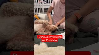 airpodsmax наушники airpods monsterbeats jbl [upl. by Mas]