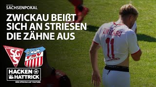 SG Dresden Striesen vs FSV Zwickau  Highlights 2 Runde Sachsenpokal [upl. by Sivra]