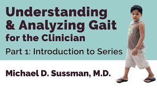 Understanding amp Analyzing Gait For The Clinician Part 01 Introduction To Series [upl. by Eisnyl110]