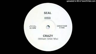 SealCrazy William Orbit Mix [upl. by Assirac]