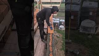 SZCZYT SZCZYTÓWCZYLI MUROWANKO classicalmusic construction bricklayer satisfying diy [upl. by Cir]