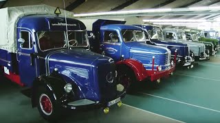 Huge Collection of Classic Trucks [upl. by Geordie679]