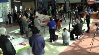 Flash Mob at Edmonton City Centre Mall Pachelbel Canon in D on period instruments [upl. by Eelak]