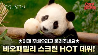 할부지와 바오패밀리의 환상케미🐼 《안녕 할부지》 메인 예고편 CGV 최초공개 [upl. by Lotti]