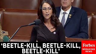 VIRAL MOMENT Lauren Boebert Appears To Crack Beetlejuice Joke On House Floor [upl. by Luane]