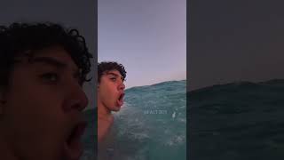 Boy found strange animal in the sea shortvideo [upl. by Chimene]