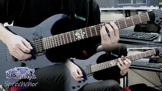 Sprechchor  Roselia  Guitar Cover [upl. by Negyam681]