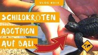 🐢 Wir adoptieren eine Schildkröte auf Bali  Goa Gajah amp Kuning Waterfall  unaufschiebbarde [upl. by Aicila]