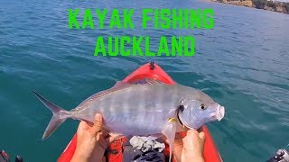 Kayak Fishing Army Bay Whangaparaoa  Snapper Trevally amp Kahawai [upl. by Nortal375]