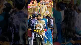 Pogo Mela Ghumne Gya😍😍 shorts vlog minivlog mela trending [upl. by Llerreg]