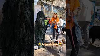 Pianta scherzo Napoli 😂paura humor scherzo bushman bushmanprank prank pranks reaction fyp [upl. by Irwinn]