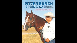 Pitzer Ranch 2020 Spring Sale Highlight [upl. by Trilly]