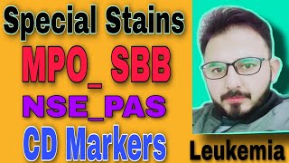 Special Stains and CD Markers For Leukemia [upl. by Ogren]