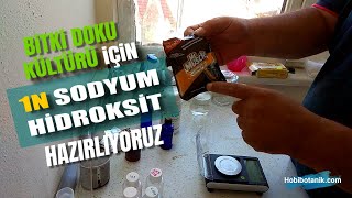 1N Sodyum Hidroksit NaOH Çözeltisi Hazırlanması [upl. by Rolecnahc460]