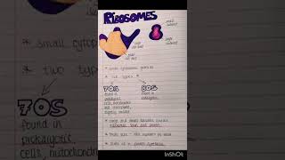 Biology Ribosomes PHYSIOLOGY [upl. by Yllier]