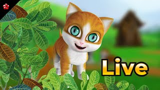 🔴 LIVE STREAM 🎬 Baby Songs Live Stream 🎸 from Kathu 🎺 Manjadi Banu Bablu and Pupi 🎻 [upl. by Auos967]